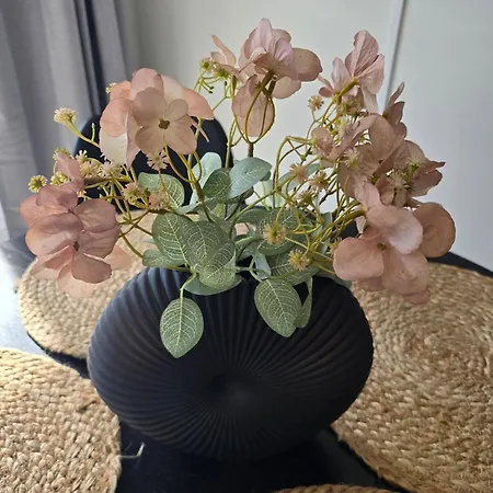 Appartement Hakalahdenkatu Kokkola (Karleby)